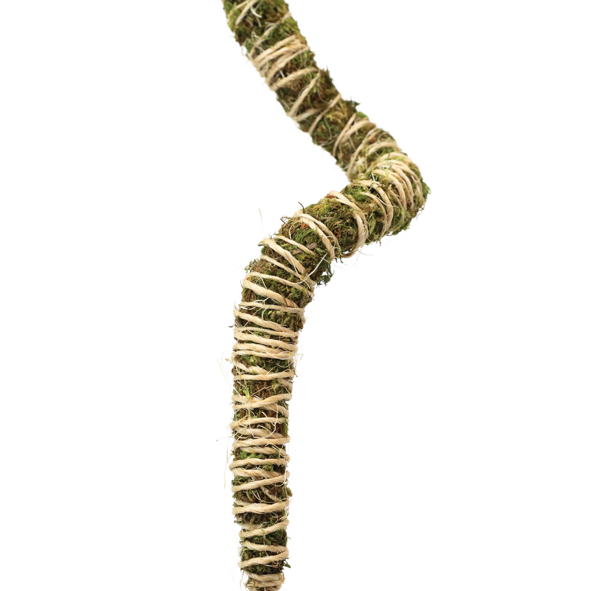 The Bendable Moss Pole™ THIN - Ultimate Starter Pack - Mossify