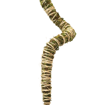 The Bendable Moss Pole™ THIN - Ultimate Starter Pack - Mossify