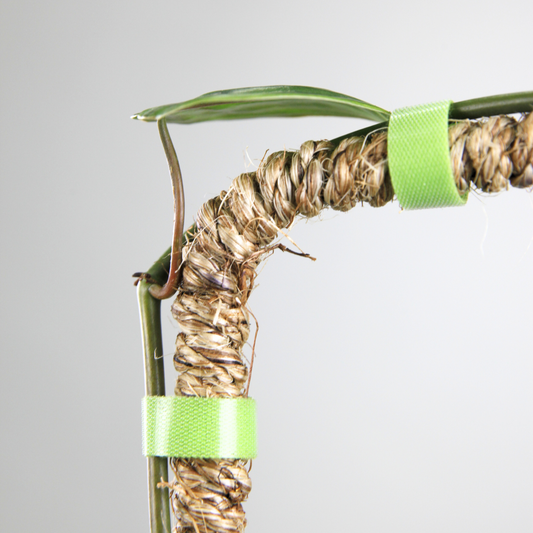 The Original Bendable Coir Pole™ - Best Seller (Tape Included)