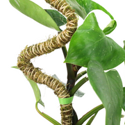 The Bendable Moss Pole™ 𝘛𝘏𝘐𝘕 - Mossify