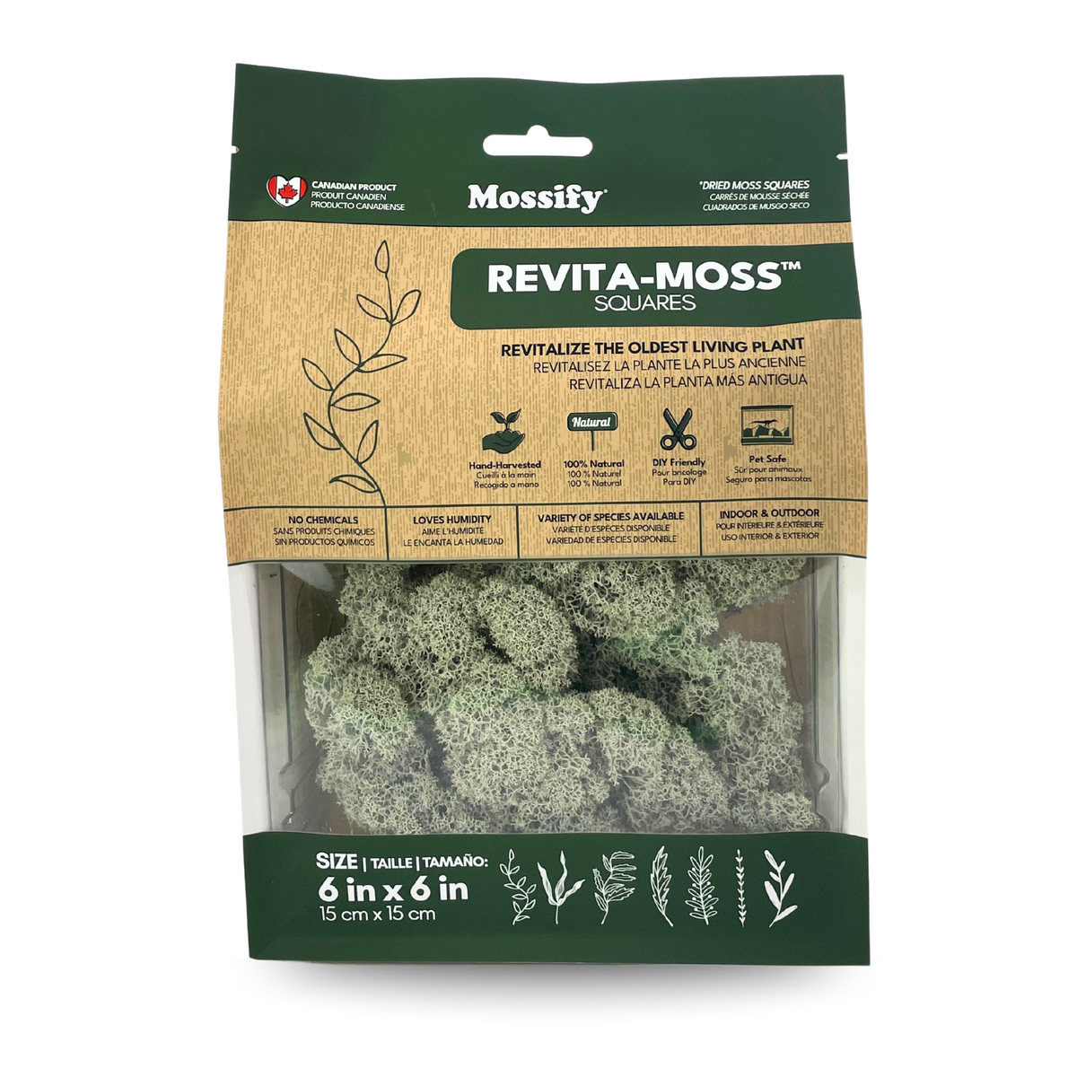 Natural Canadian Reindeer Moss - Revita-Moss - Mossify