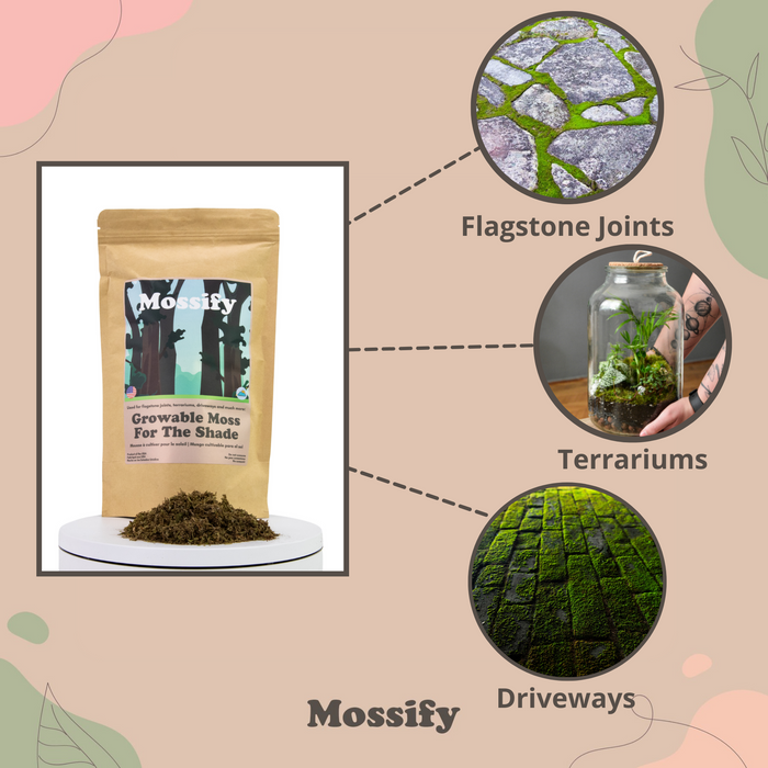 Moss Grower Pack