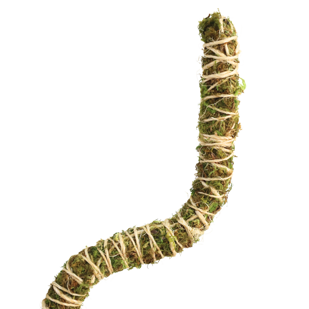 The Bendable Moss Pole™ 𝘛𝘏𝘐𝘕 - Mossify