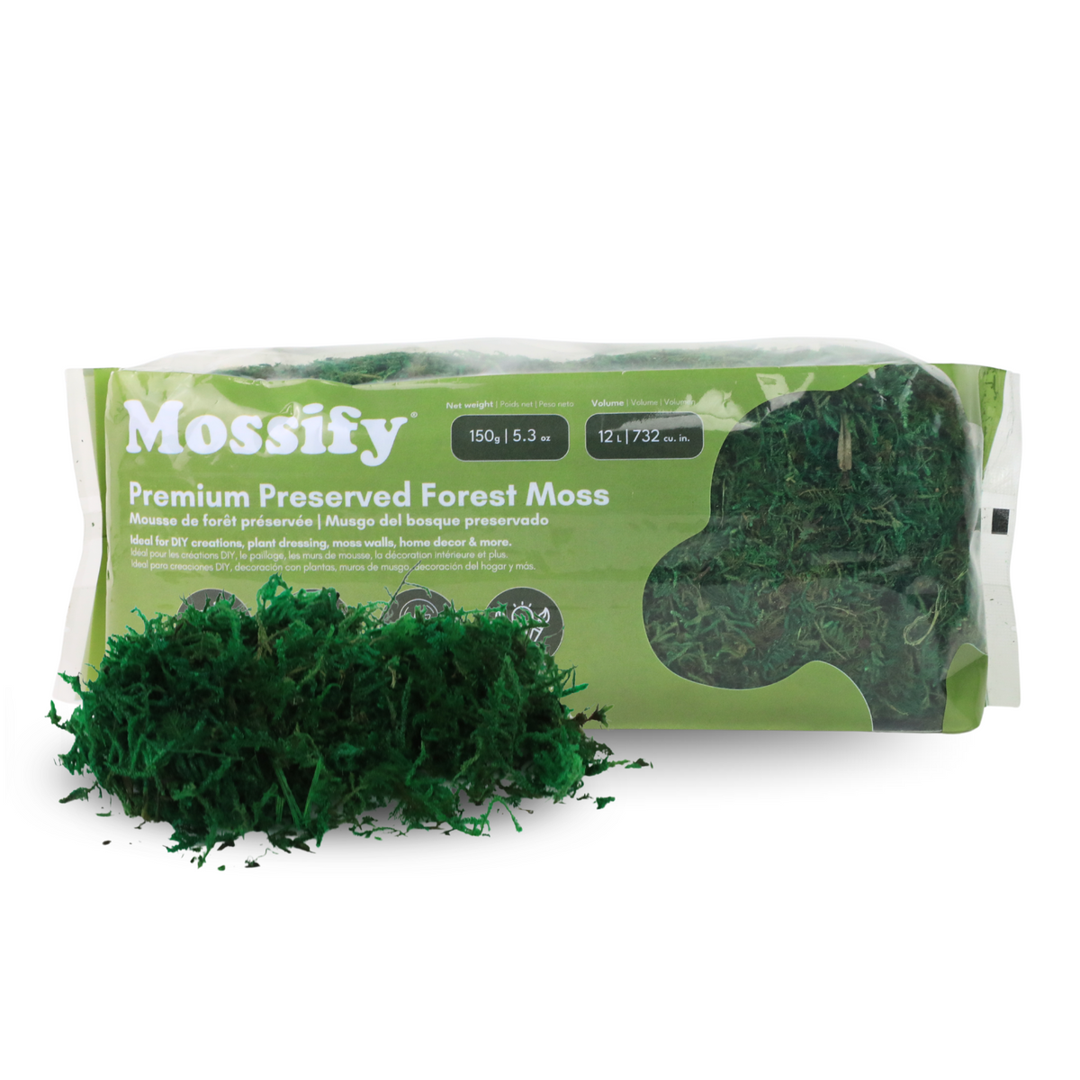 Premium Preserved Forest Moss - Mossify