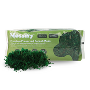 Premium Preserved Forest Moss - Mossify