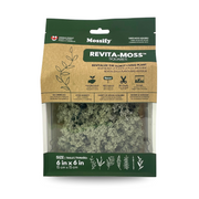 Lichen - Revita-Moss (Cladonia arbuscula) - Mossify