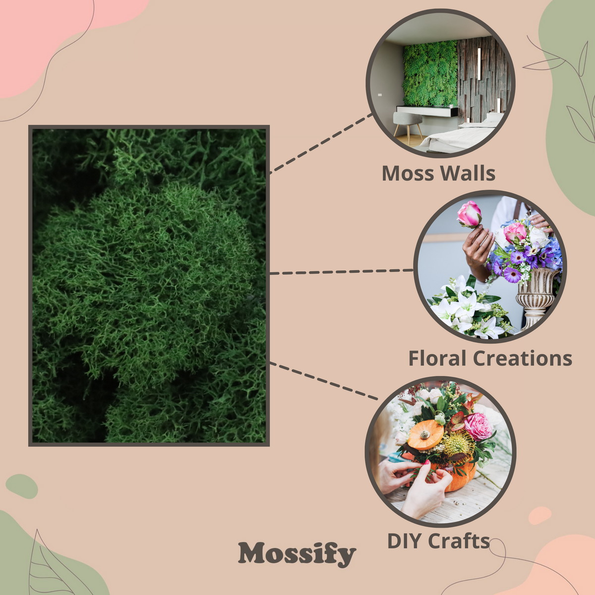 Premium Preserved Reindeer Moss - Mossify