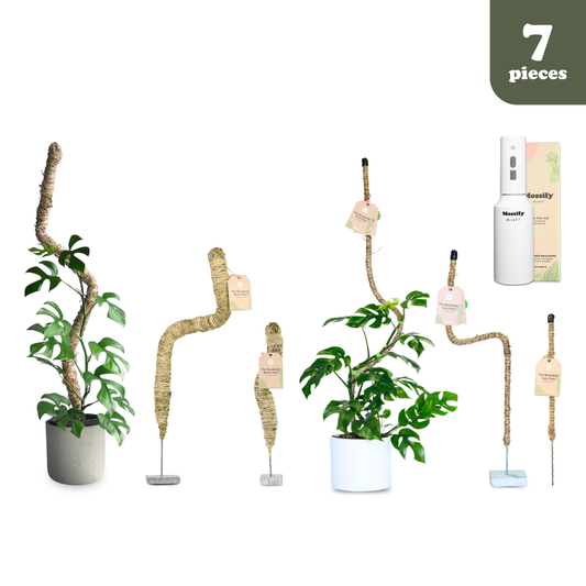 Mossify Ultimate Sample Pack - Mossify
