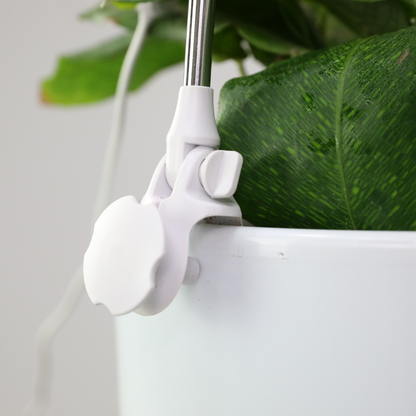 Indoor Plant Care Pack - Mossify