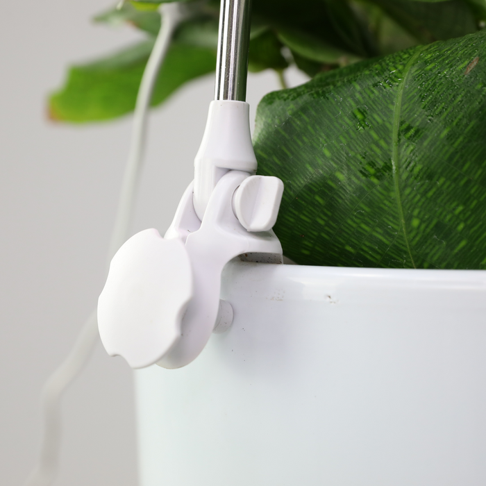 Pack d'entretien des plantes d'intérieur