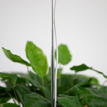 Indoor Plant Care Pack - Mossify