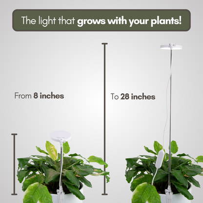 Adjustable LED plant light height range from 8 inches to 28 inches