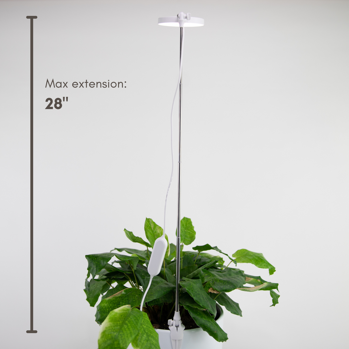 Indoor Plant Care Pack - Mossify