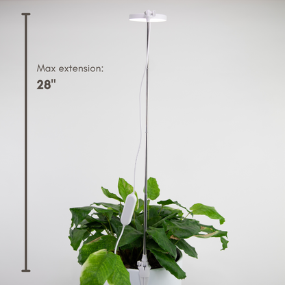 Indoor Plant Care Pack - Mossify