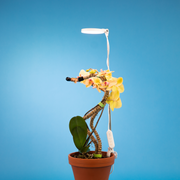 Indoor Plant Care Pack - Mossify