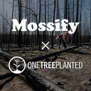 Donation to One Tree Planted - Mossify