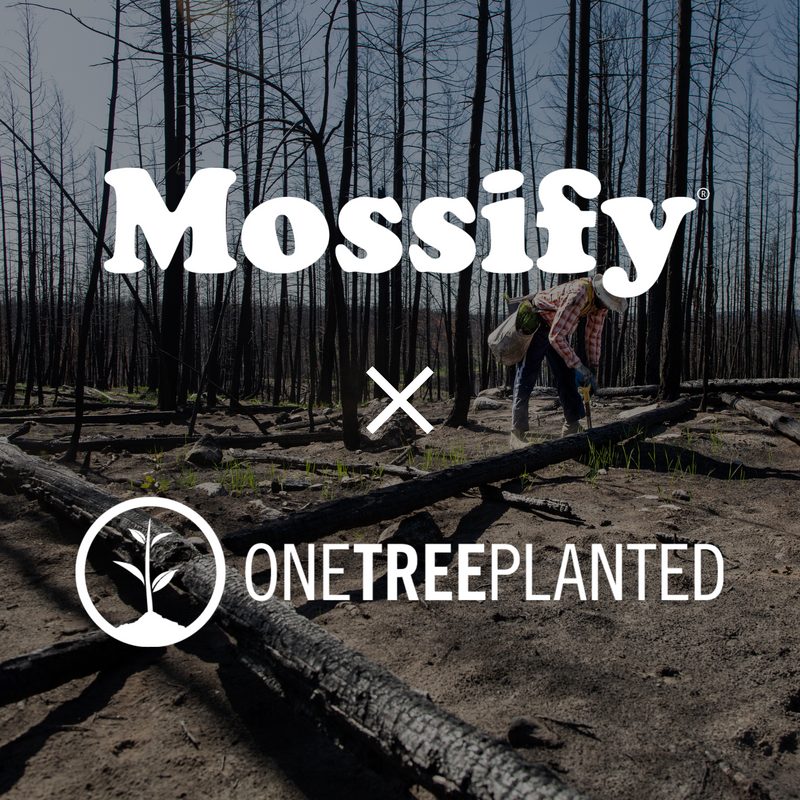Donation to One Tree Planted - Mossify