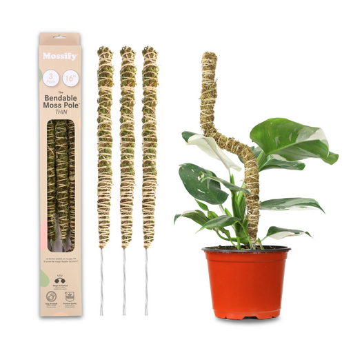Bendable moss poles with packaging and a potted plant on a white background