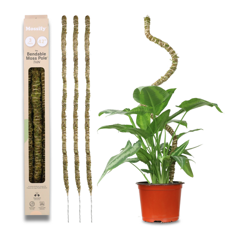 mossify bendable moss pole The Bendable Moss Pole™ 𝘛𝘏𝘐𝘕