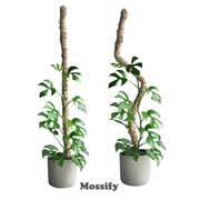 The Original Bendable Moss Pole™ - Ultimate Starter Pack - Mossify