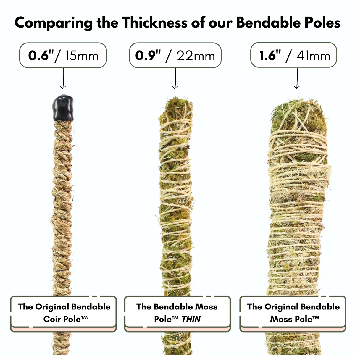 The Bendable Moss Pole™ THIN - Ultimate Starter Pack - Mossify