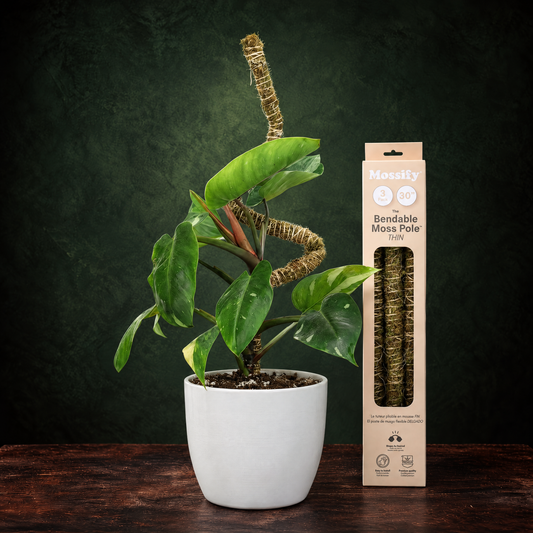 The Bendable Moss Pole™ THIN
