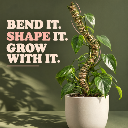The Bendable Moss Pole™ THIN