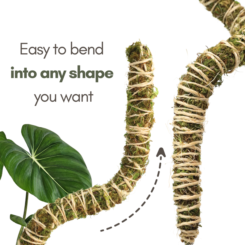 thin moss pole The Bendable Moss Pole™ 𝘛𝘏𝘐𝘕