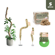 The Original Bendable Moss Pole™ - Ultimate Starter Pack - Mossify