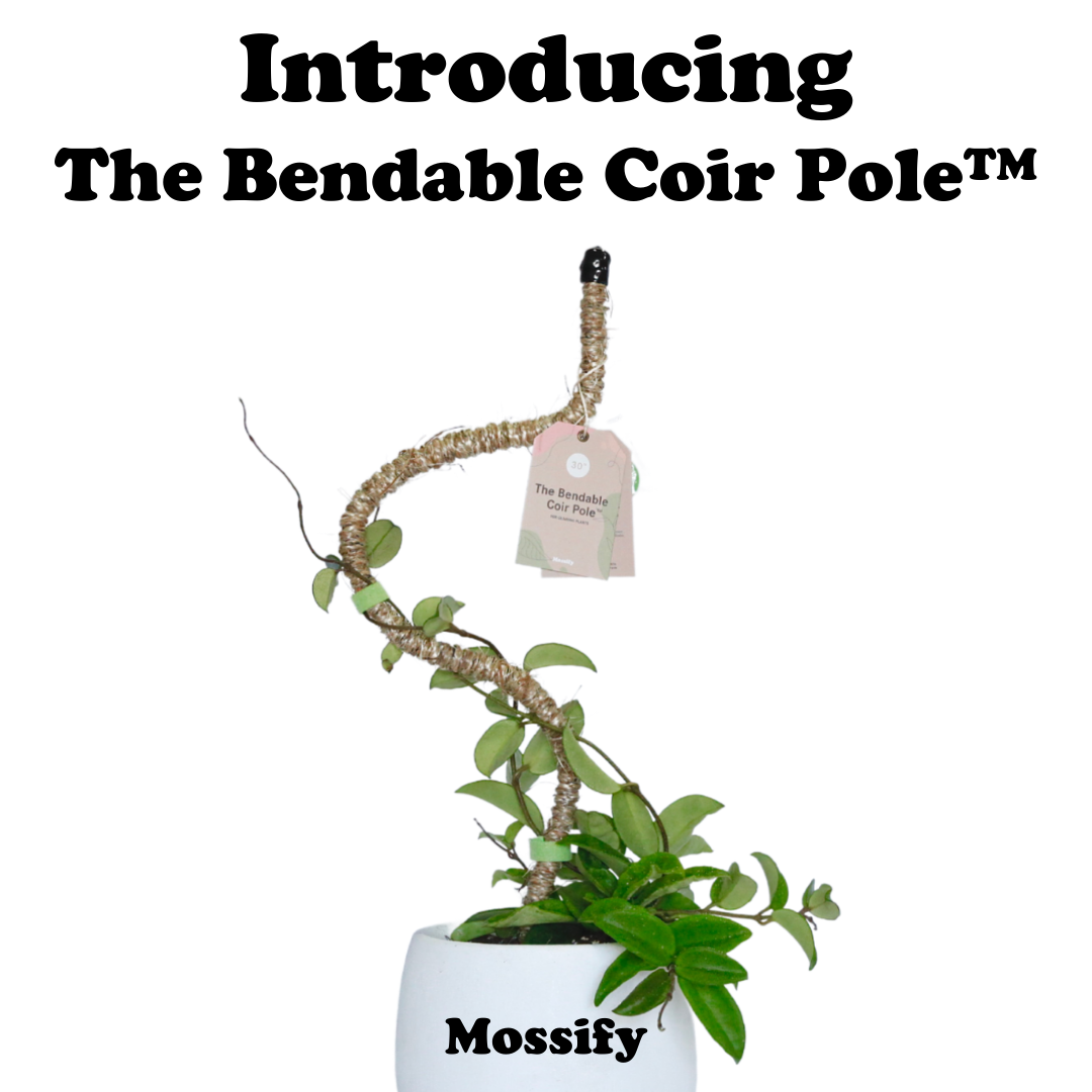 The first ever Bendable Coir Pole™.