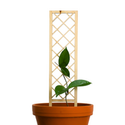 Cross-Hatch Wooden Trellis - Mossify
