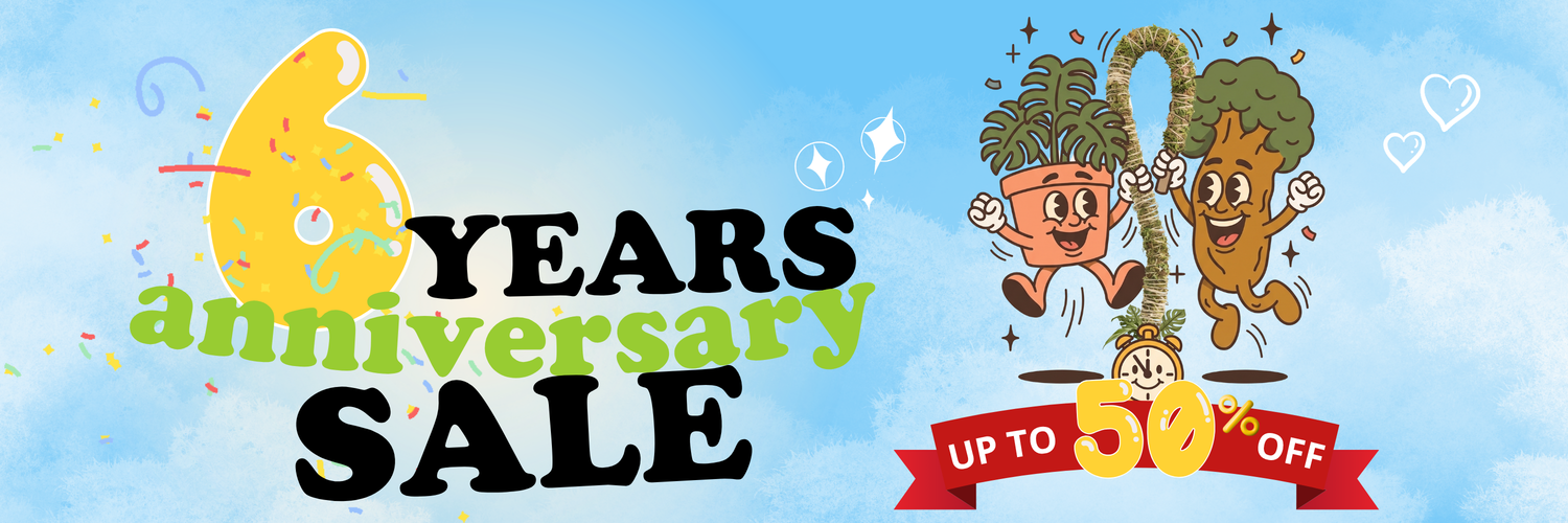 Celebrate 6 years with us. 🎈