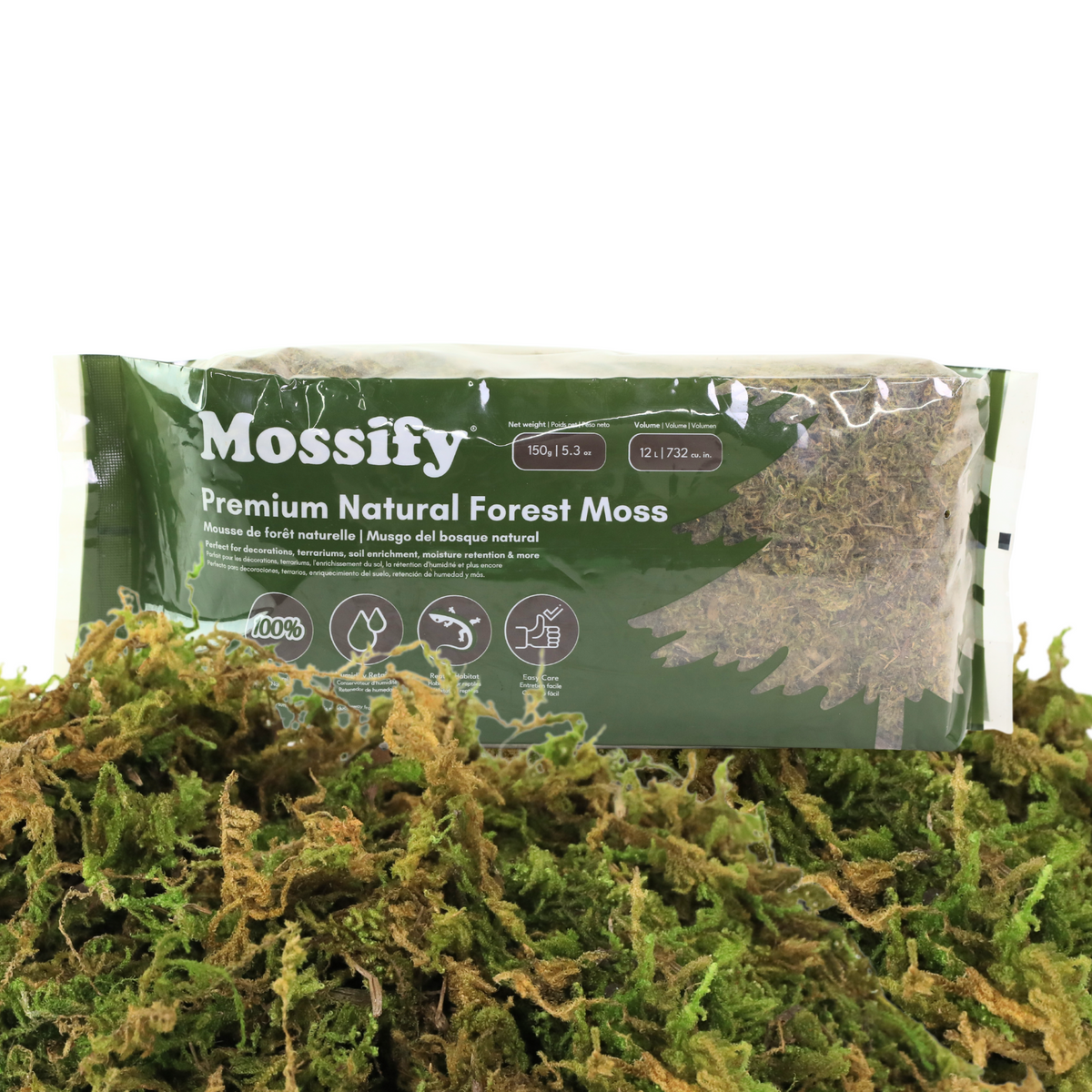 Premium Natural Forest Moss - Mossify