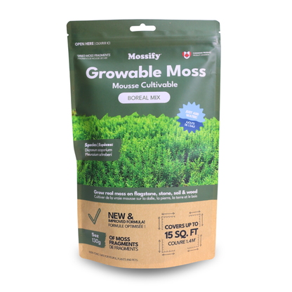 Growable Moss – Boreal