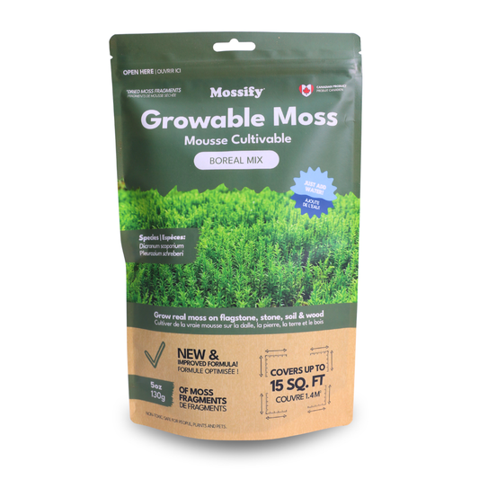 Growable Moss – Boreal & Sphagnum Mix