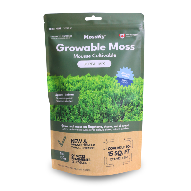 Growable Moss – Boreal & Sphagnum Mix