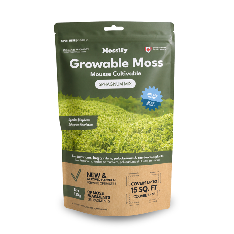 Growable Moss – Boreal & Sphagnum Mix