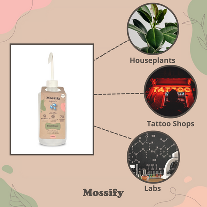 Mossify squirtr - Mossify