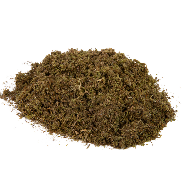 Value Pack - Mousse cultivable pour l'ombre 