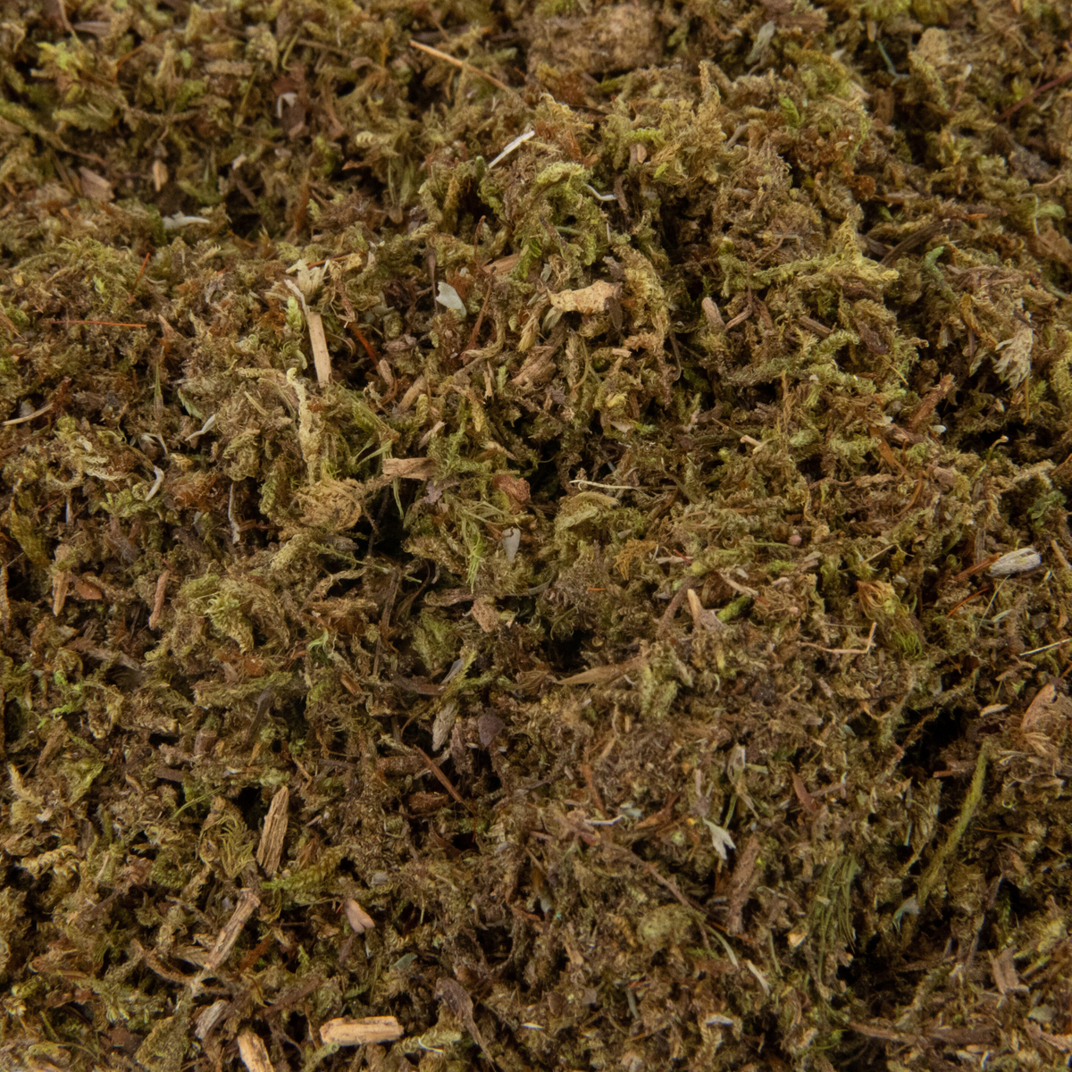 Value Pack - Growable Moss for the Shade - Mossify