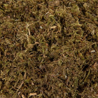 Value Pack - Growable Moss for the Shade - Mossify