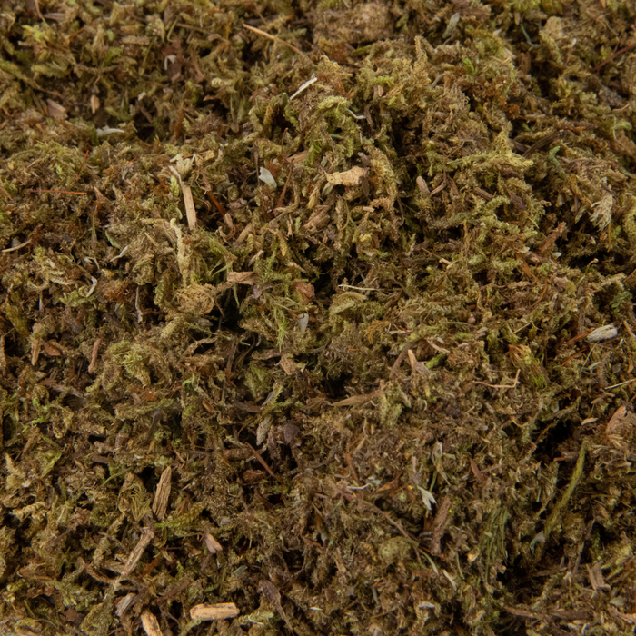 Value Pack - Growable Moss for the Shade