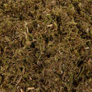 Moss Grower Pack - For the Shade - Mossify