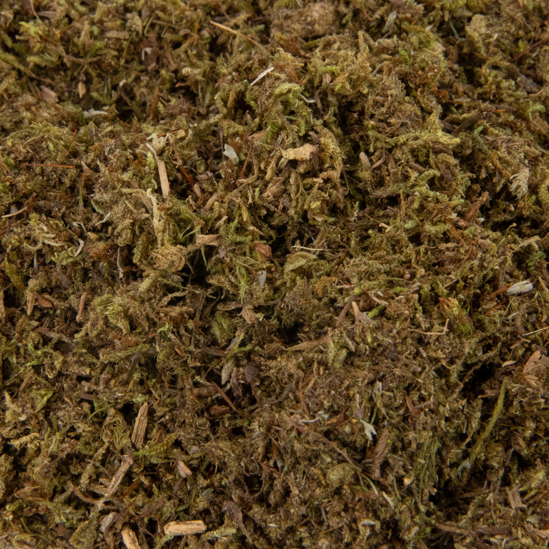 Moss Grower Pack - For the Shade - Mossify
