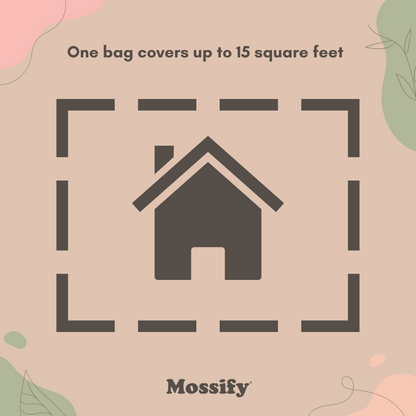 Value Pack - Growable Moss for the Sun - Mossify