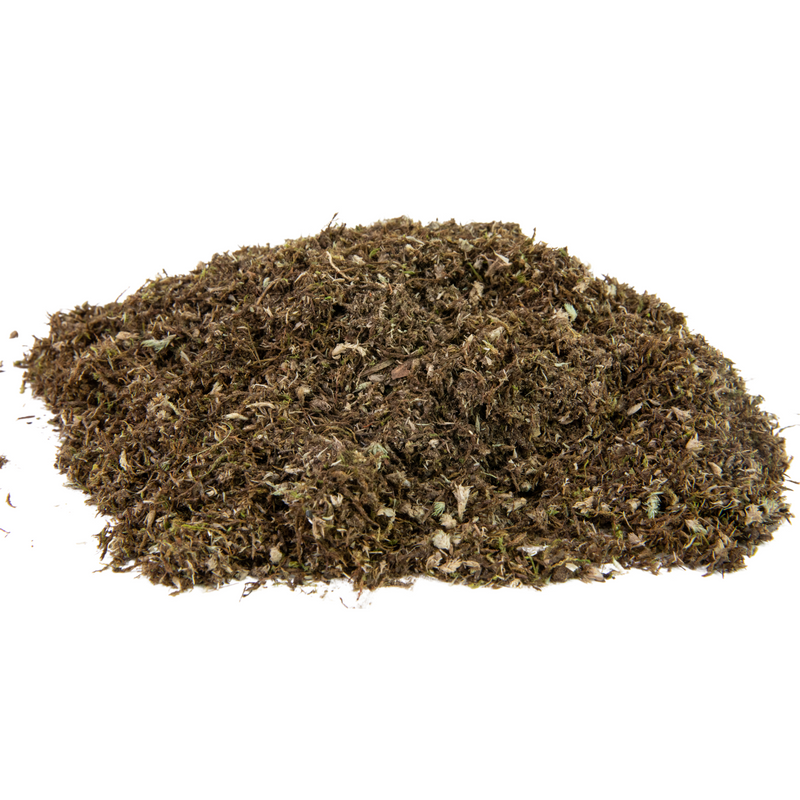 Moss Grower Pack - For the Sun - Mossify