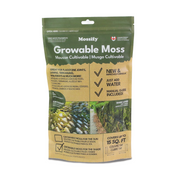 Growable Moss for the Shade - Mossify