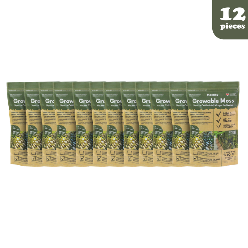 Growable Moss for the Shade - Value Pack