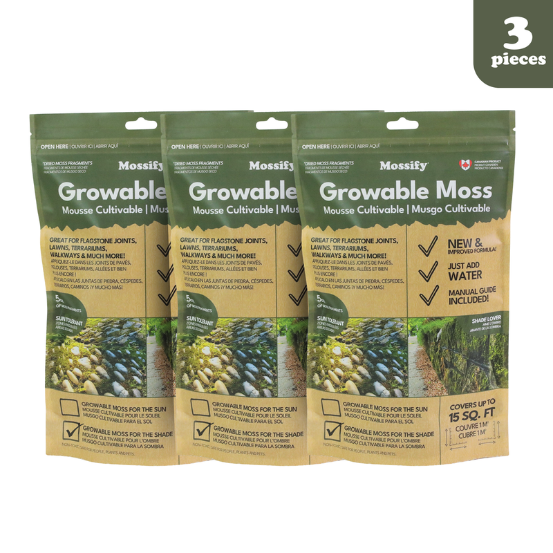 Growable Moss for the Shade - Value Pack