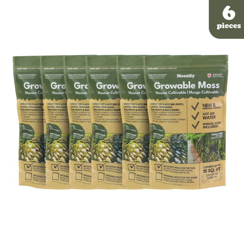 Growable Moss for the Sun - Value Pack